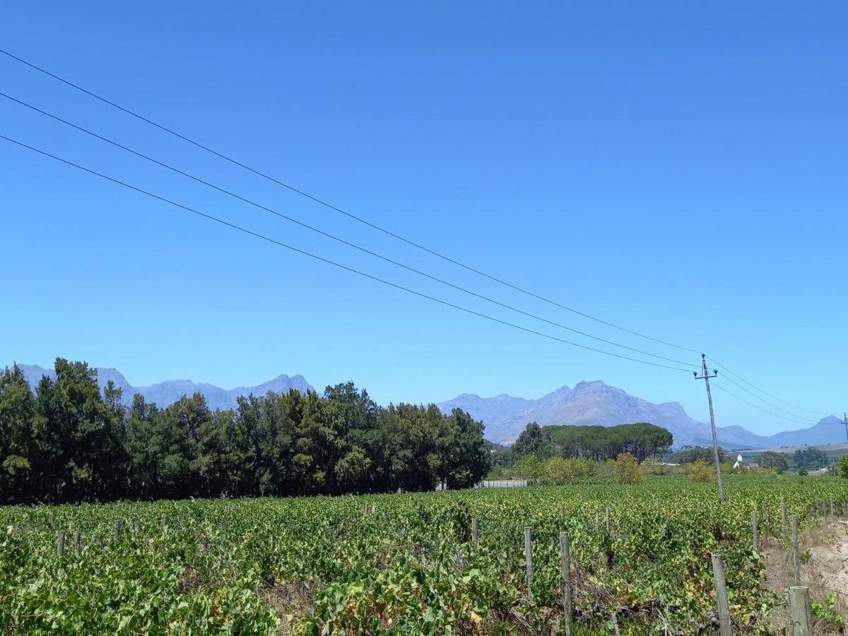 Hotel Rouana Guest Farm Stellenbosch Zewnętrze zdjęcie