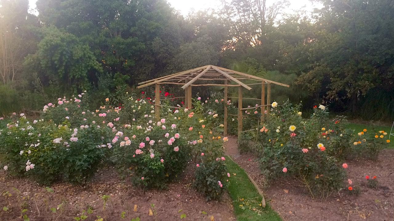Hotel Rouana Guest Farm Stellenbosch Zewnętrze zdjęcie