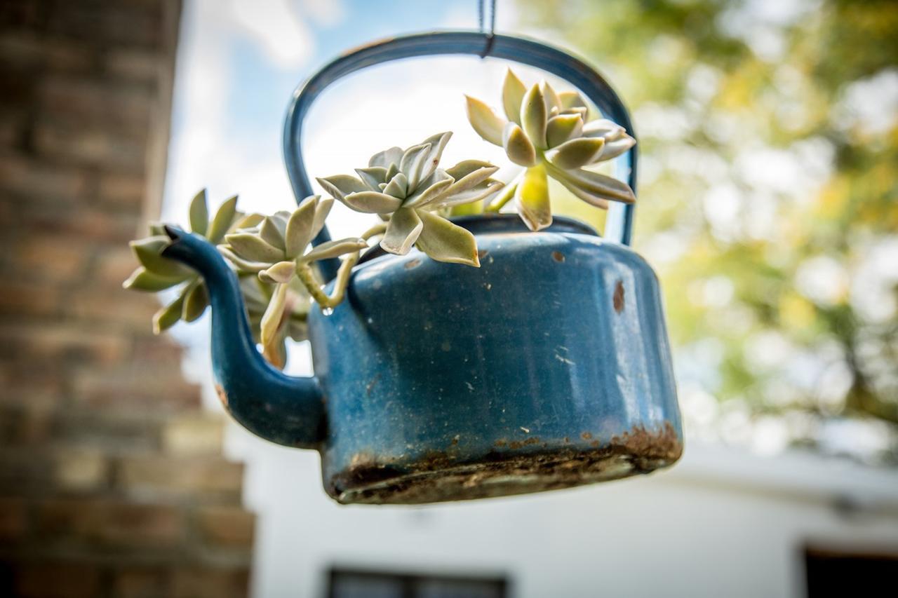Hotel Rouana Guest Farm Stellenbosch Zewnętrze zdjęcie