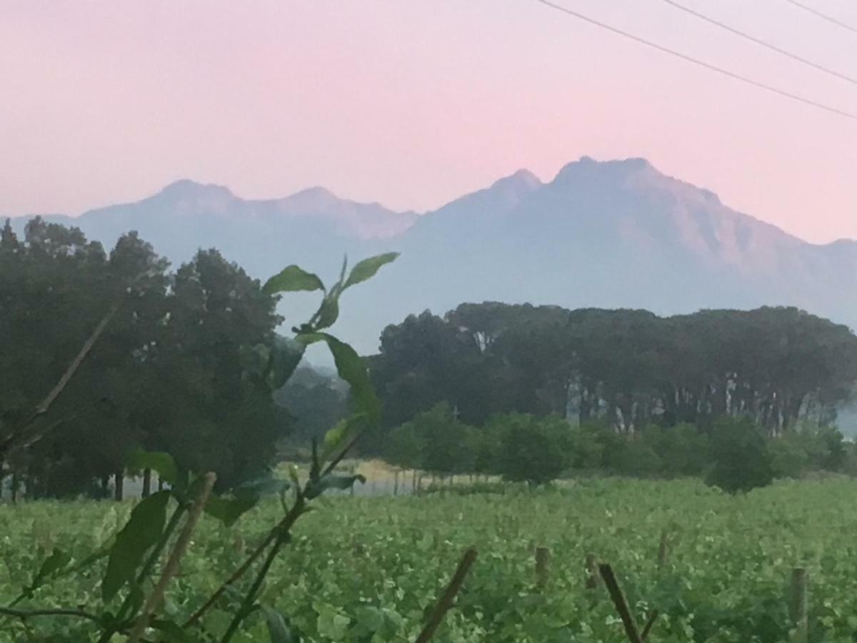 Hotel Rouana Guest Farm Stellenbosch Zewnętrze zdjęcie