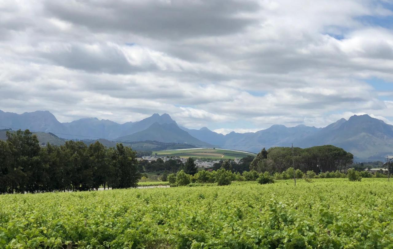 Hotel Rouana Guest Farm Stellenbosch Zewnętrze zdjęcie